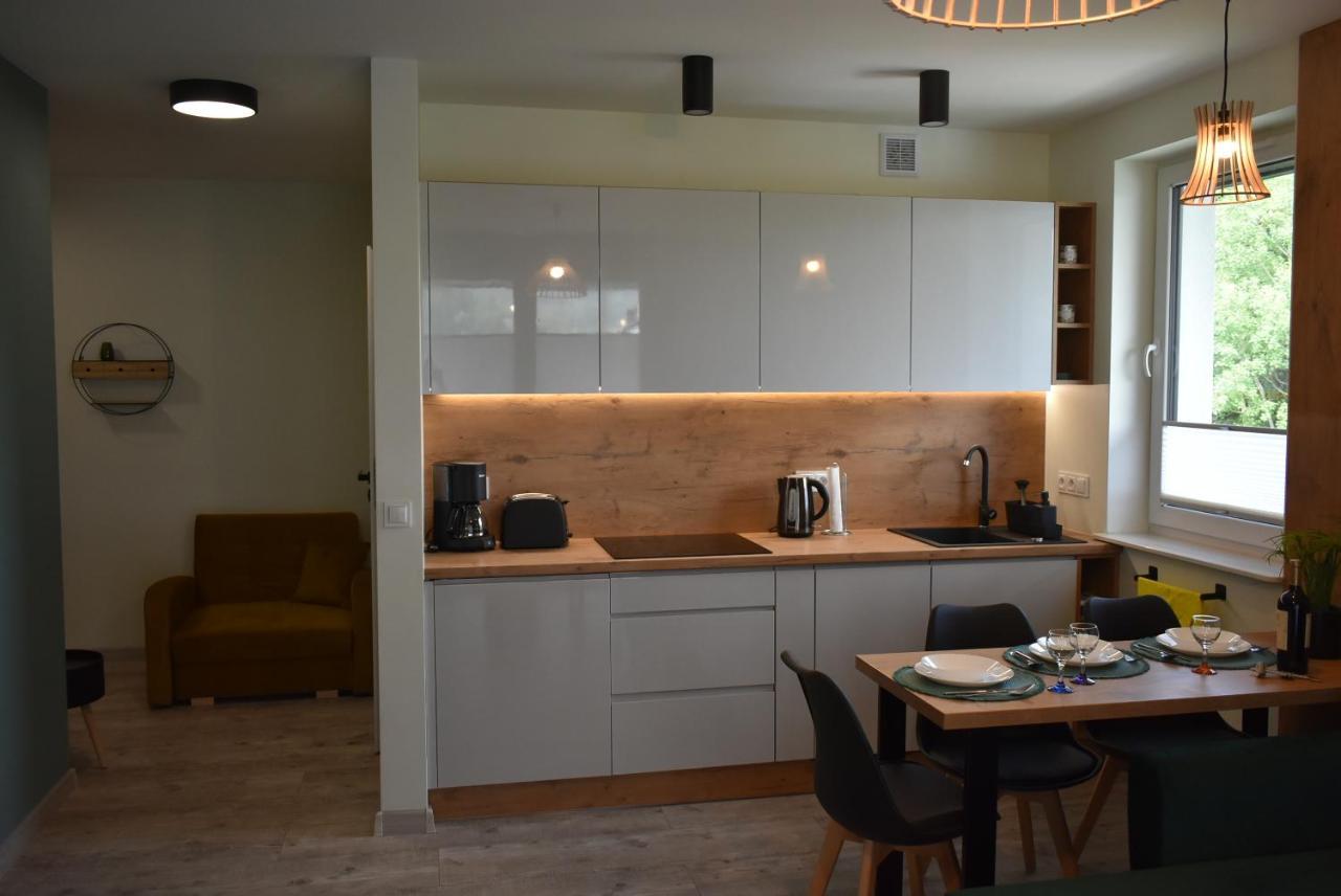 Apartament Resto Świeradów-Zdrój المظهر الخارجي الصورة